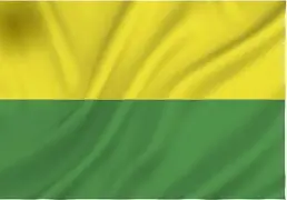 Haagse vlag